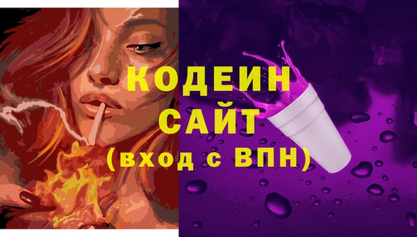 сатива Верея